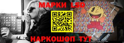 Альфа ПВП Камышлов