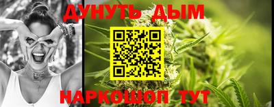 Альфа ПВП Камышлов