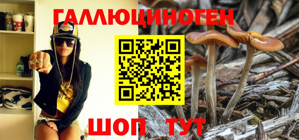 Галлюциногенные грибы Cubensis Кыштым