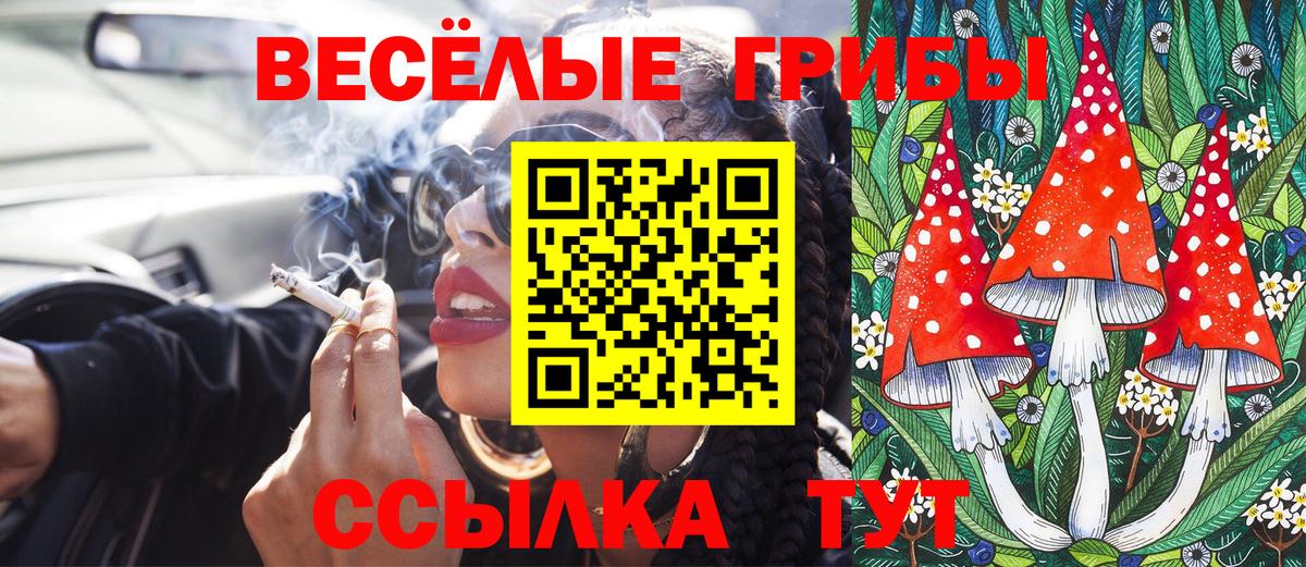 Кыштым  Галлюциногенные грибы Magic Shrooms  Вход с VPN 